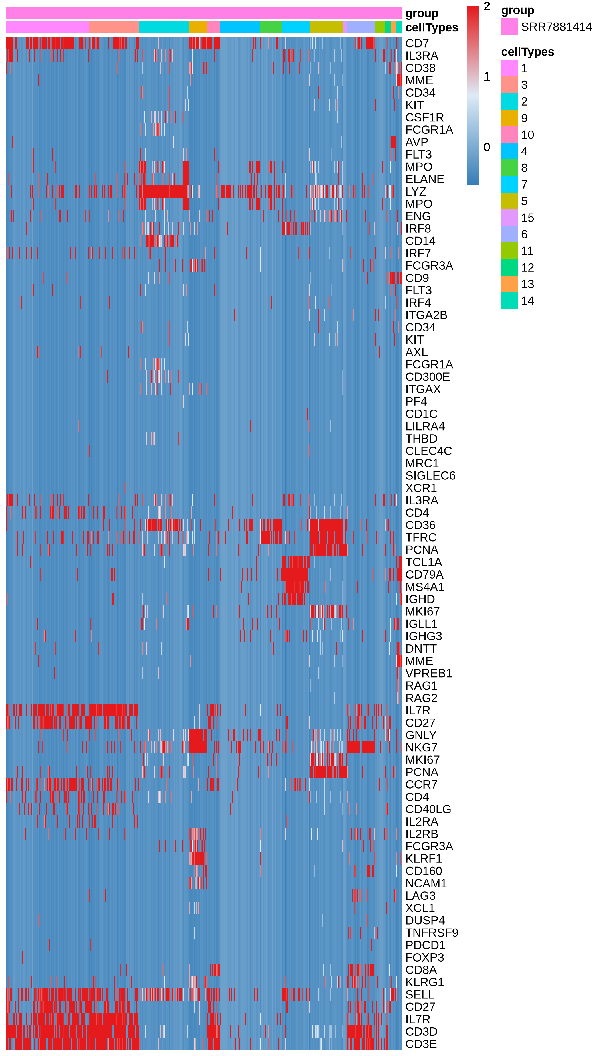 Heatmap showing the expression of lineage genes for each cell