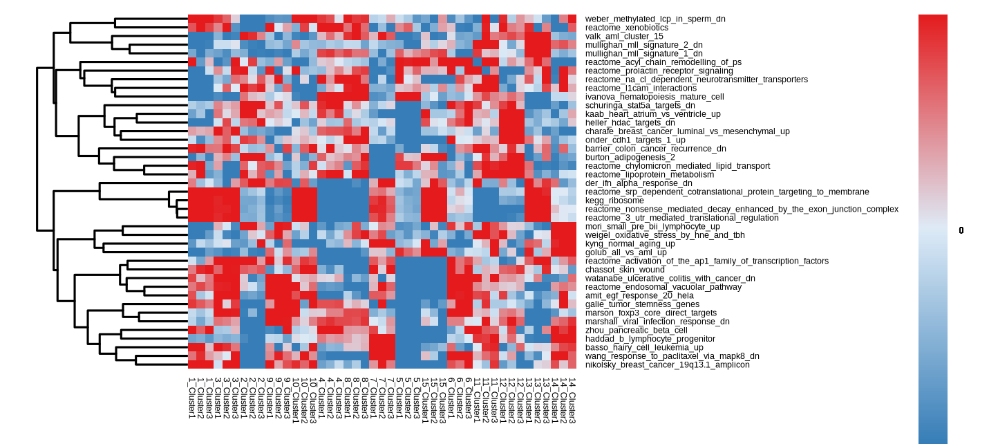 GSVA Heatmap showing the enriched pathways of each cell type group