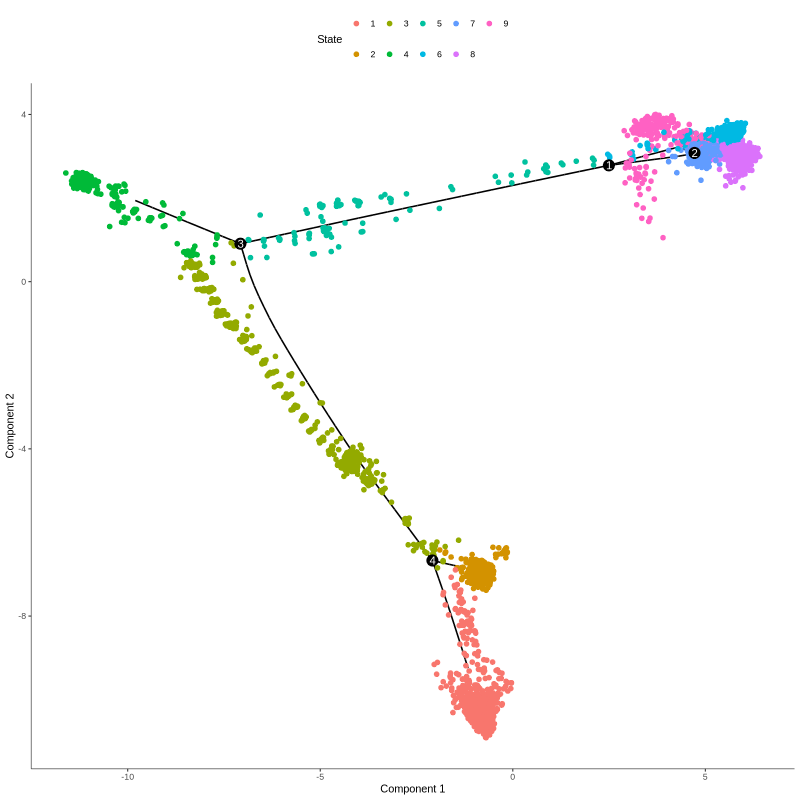 Figures showing cells in different trajectory states (left) and corresponding cell type groups (right)