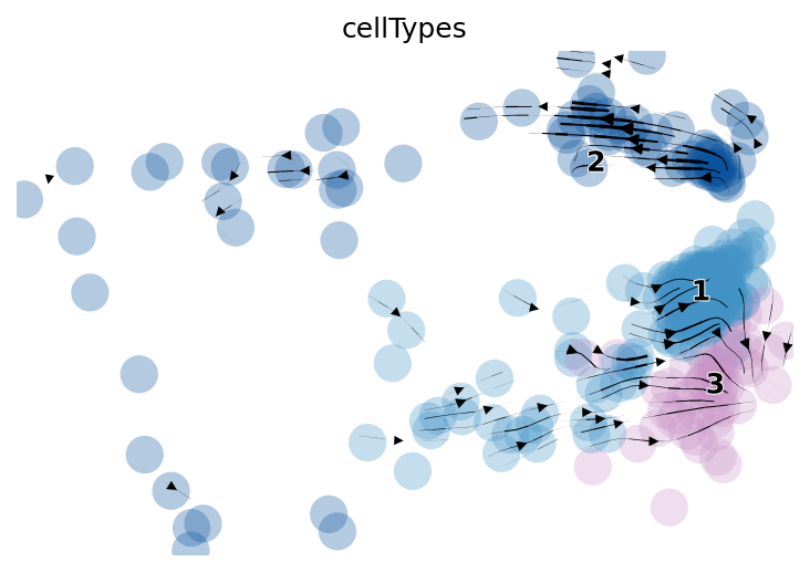 Figure showing trajectory predicted by scvelo