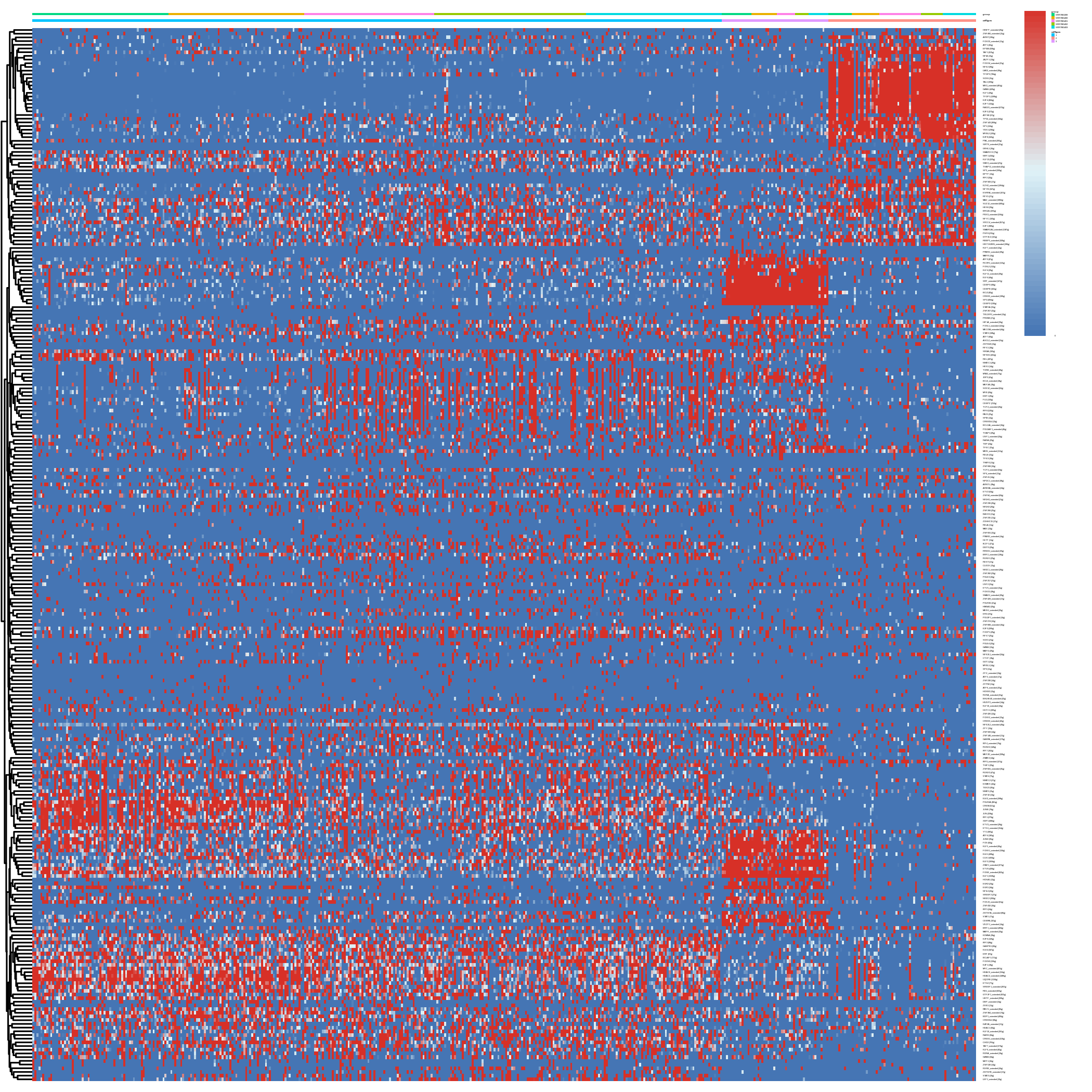 Heatmap showing predicted regulon activity for each cell