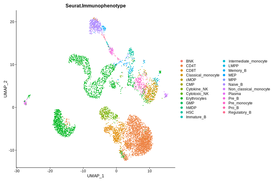 Immunophenotype and RNACluster label predicted by Seurat