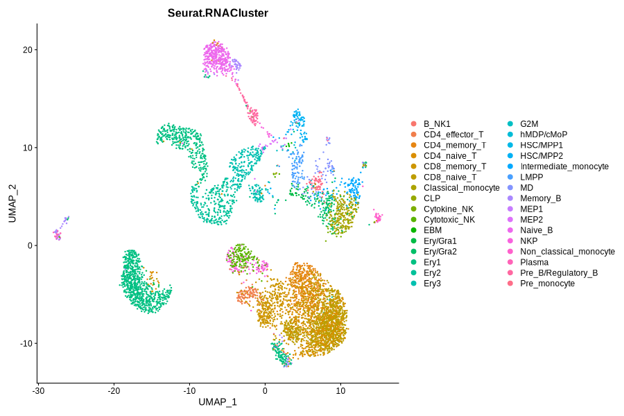 Immunophenotype and RNACluster label predicted by Seurat