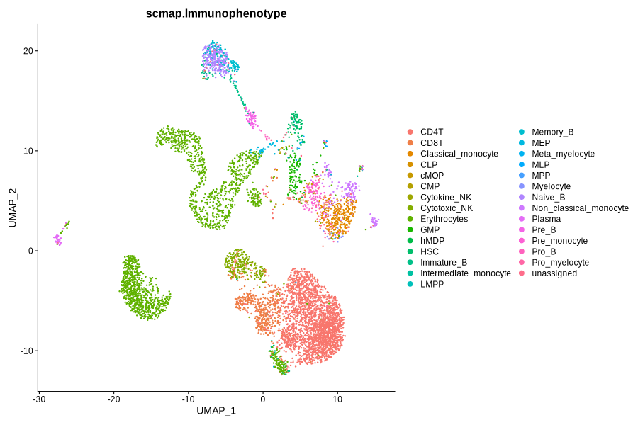 Immunophenotype and RNACluster label predicted by scmap