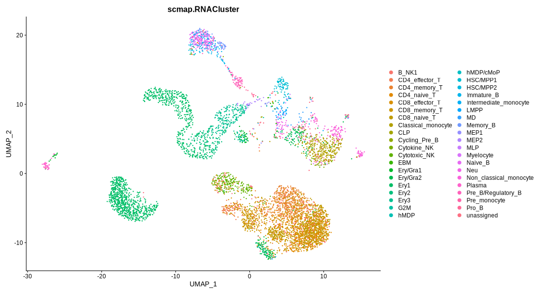 Immunophenotype and RNACluster label predicted by scmap