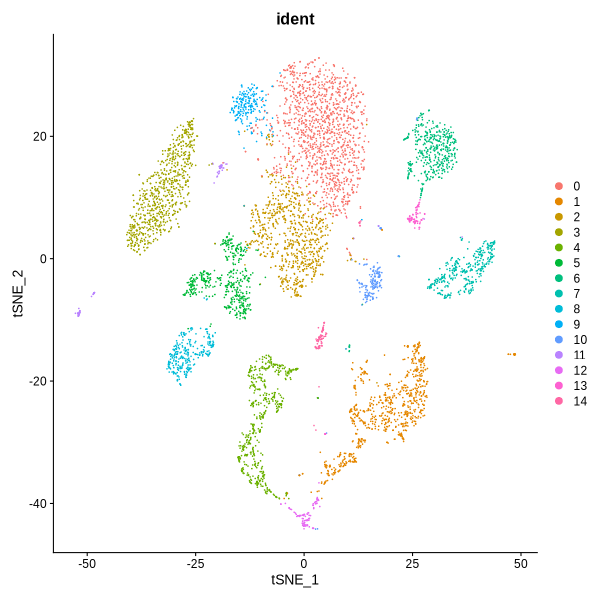 UMAP and TSNE visualization