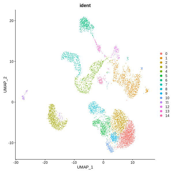 UMAP and TSNE visualization