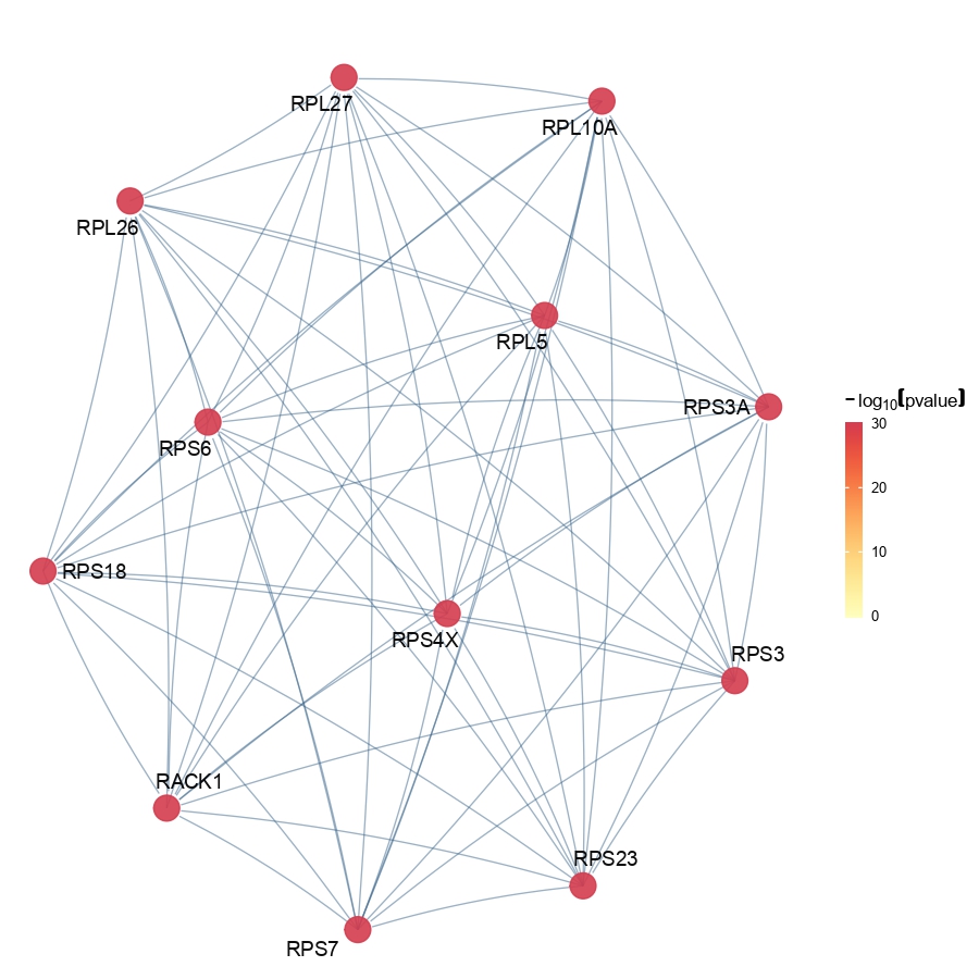 Figure showing subnetwork of each cell type group identified by OpenXGR