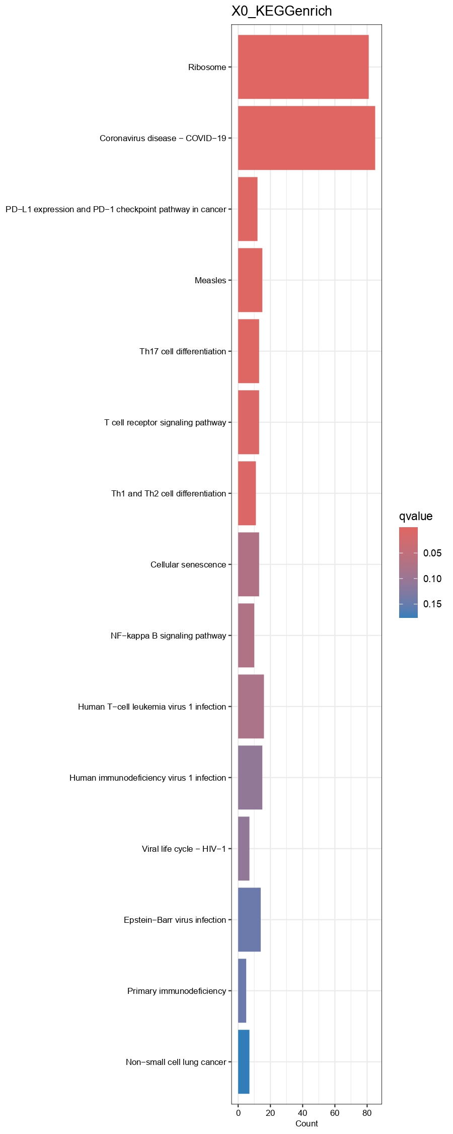 Barplot showing GO（BP）and KEGG enrichment results of each cell type group