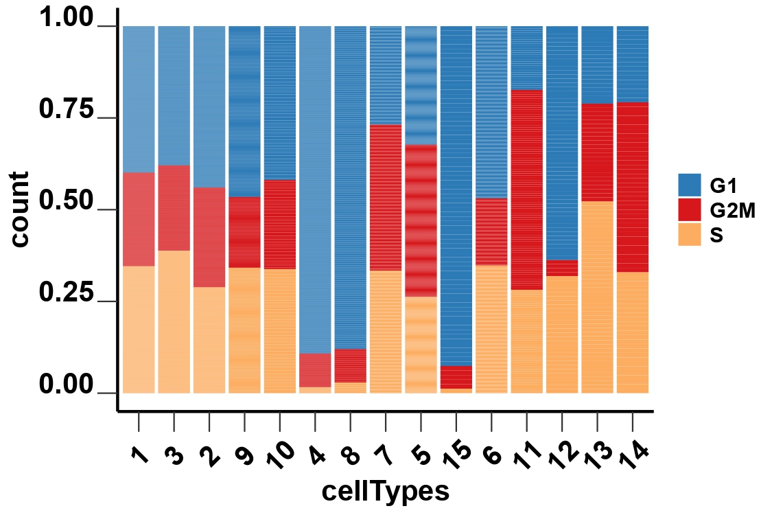 Barplot showing the proportion of different cell cycle within each cell type group